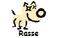 Rasse